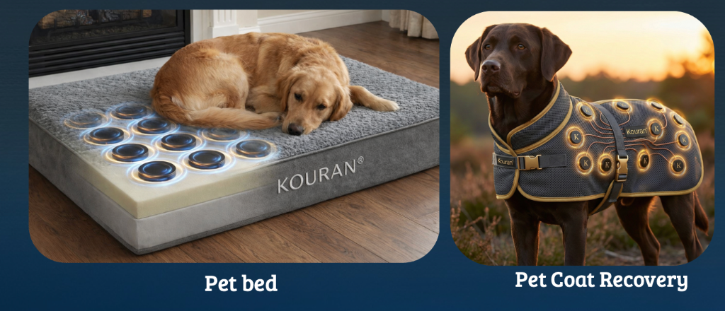 Línea Kouran Pets - Pet Bed y Pet Coat Recovery